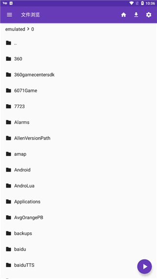 鸸鹋踏沙绘星图壁纸